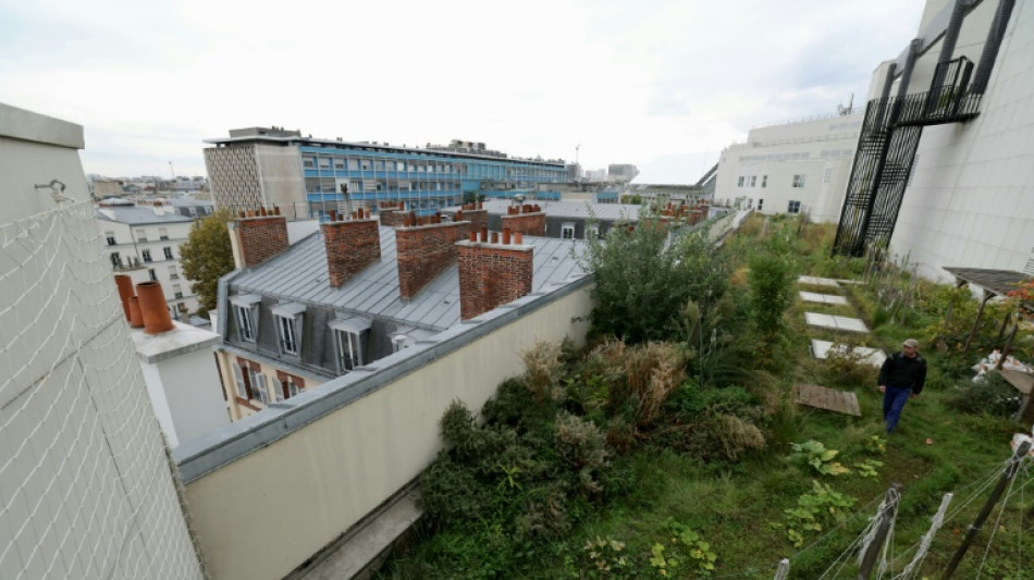 V&eacute;g&eacute;talisation, rooftops branch&eacute;s: Paris &agrave; la conqu&ecirc;te de ses toits-terrasses