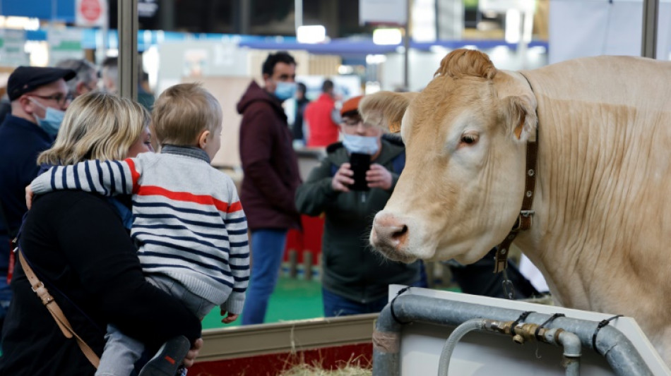 Au Salon de l'agriculture, Neige, les "experts" et la joie retrouv&eacute;e