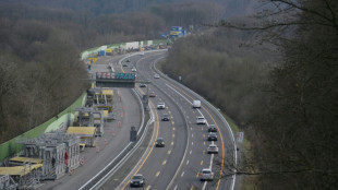 Gericht: AfD-Fahnenschwenken auf Br&uuml;cke &uuml;ber Autobahn zu Recht verboten