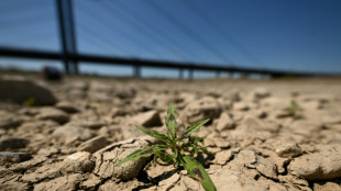 Un julio de calor r&eacute;cord en regiones donde viven 900 millones de personas