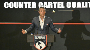 EEUU y Colombia realizar&aacute;n acciones militares conjuntas en la lucha antidrogas