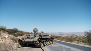 Guerre au Tigr&eacute;: plainte en Allemagne visant des officiels &eacute;thiopiens et &eacute;rythr&eacute;ens pour "crimes contre l'humanit&eacute;"