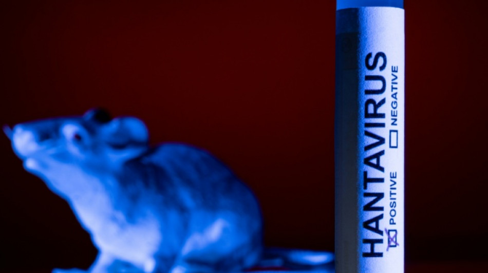 Nada indica que la cepa Andes del hantavirus haya mutado, estima la agencia sanitaria de la UE