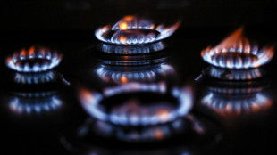 Met&agrave; italiani non sa leggere bollette del gas e della luce
