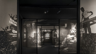 Webuild inaugura Evolutio, la mostra immersiva sulle infrastrutture