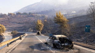 Croatie : un violent incendie fait 40 bless&eacute;s et des d&eacute;g&acirc;ts importants sur la c&ocirc;te