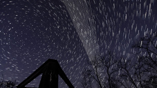 Media, 'Teheran ha usato jammer militari per oscurare internet'