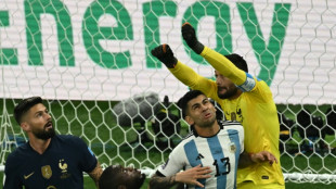 Conte may rest Tottenham's World Cup players at Brentford