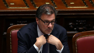Giorgetti, quest'anno il Pil potrebbe avvicinarsi all'1%