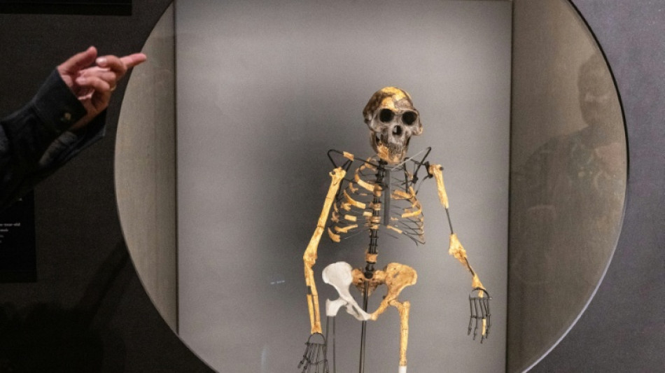 Un pie fosilizado hallado en Etiopía arroja luz sobre un contemporáneo de Lucy