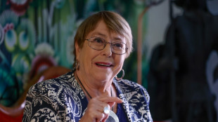 Chile officially backs Bachelet candidacy for UN top job
