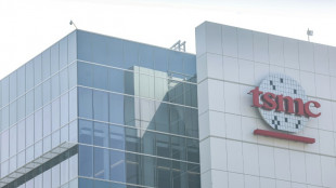 Taiwan's TSMC logs net profit jump on AI boom