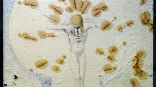 Roban de un museo franc&eacute;s una pieza "excepcional" realizada por Dal&iacute;