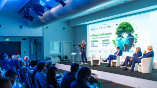 Confartigianato, tasse ambientali 11miliardi in più di media Ue