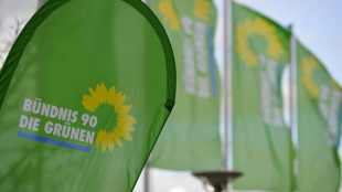 Gr&uuml;nen-Haushaltspolitiker Kindler kandidiert 2025 nicht erneut f&uuml;r Bundestag