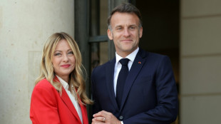'Need each other': Macron hosts Meloni after Trump rift
