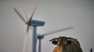 La inflaci&oacute;n en Espa&ntilde;a se acelera en julio por los precios de la energ&iacute;a
