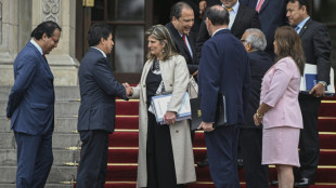 La OEA eligió por primera vez a una mujer como subsecretaria general
