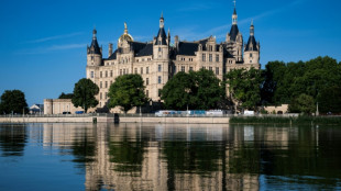 Vor Landtagswahl in Mecklenburg-Vorpommern: AfD in Umfragen weiter vor SPD
