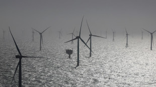 EU-Einigung f&uuml;r deutlich ehrgeizigere Ausbauziele bei erneuerbaren Energien