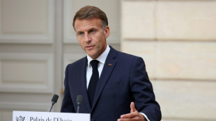 Francia convocar&aacute; una reuni&oacute;n del G7 sobre energ&iacute;a