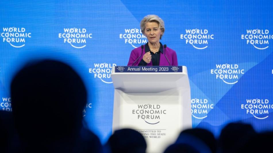 La UE amenaza con investigar las subvenciones chinas para atraer tecnolog&iacute;a limpia