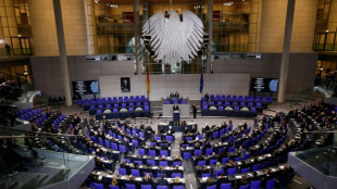 Bundestag ber&auml;t am Donnerstag &uuml;ber AfD-Verbotsantrag