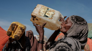 La s&eacute;cheresse dans la Corne de l'Afrique menace de famine 20 millions de personnes