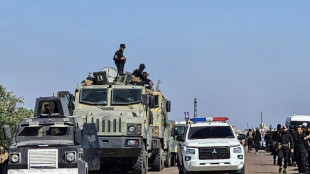 Syrie: Israël bombarde les forces gouvernementales dans une ville druze
