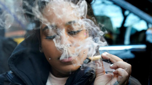 Le cannabis va &ecirc;tre class&eacute; comme moins dangereux aux Etats-Unis, le secteur euphorique