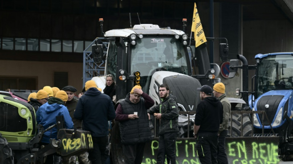 Franz&ouml;sische Bauern protestieren weiter gegen Mercosur-Abkommen