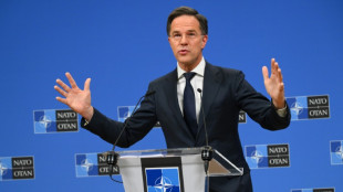 Los pa&iacute;ses de la OTAN deben gastar "mucho m&aacute;s" en defensa, advirti&oacute; Rutte