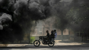 For&ccedil;a internacional no Haiti e o medo de repetir erros do passado