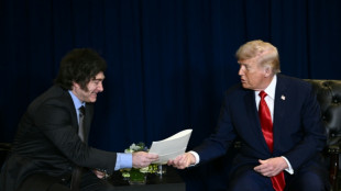 Milei chez Trump pour sceller l'aide financi&egrave;re am&eacute;ricaine &agrave; l'Argentine