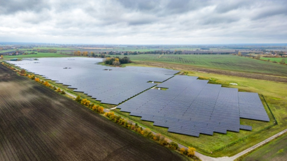 Anschlüsse für gewerbliche Batteriespeicher 2024 stark nachgefragt