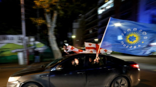Partido governante na Ge&oacute;rgia afirma que UE &eacute; sua 'prioridade' antes de protesto da oposi&ccedil;&atilde;o