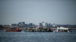 Catastrophe a&eacute;rienne de Washington: l'enqu&ecirc;te se poursuit dans un climat politique d&eacute;l&eacute;t&egrave;re 