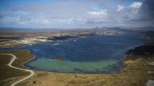 Reino Unido reafirma sua soberania sobre as Malvinas ap&oacute;s reivindica&ccedil;&atilde;o de Milei
