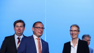 Weidel: AfD-Bundestagsfraktion f&auml;llt Entscheidung zu Krah am Dienstag