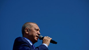 Municipales en Turquie, Erdogan &agrave; la reconqu&ecirc;te d'Istanbul