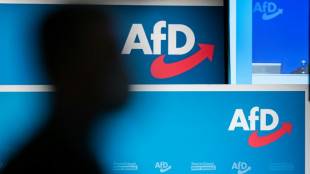 AfD-Fraktionsgesch&auml;ftsf&uuml;hrer betont Festhalten der Partei an Begriff Remigration