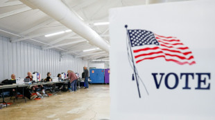 'Fake' pollsters hit US midterms