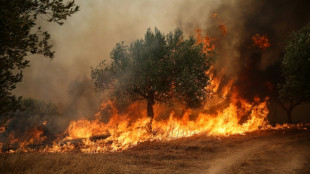 Los incendios mantienen bajo amenaza la regi&oacute;n de Atenas