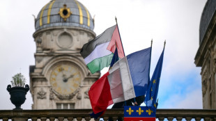 Près d'une centaine de mairies hissent le drapeau palestinien malgré l'opposition du gouvernement