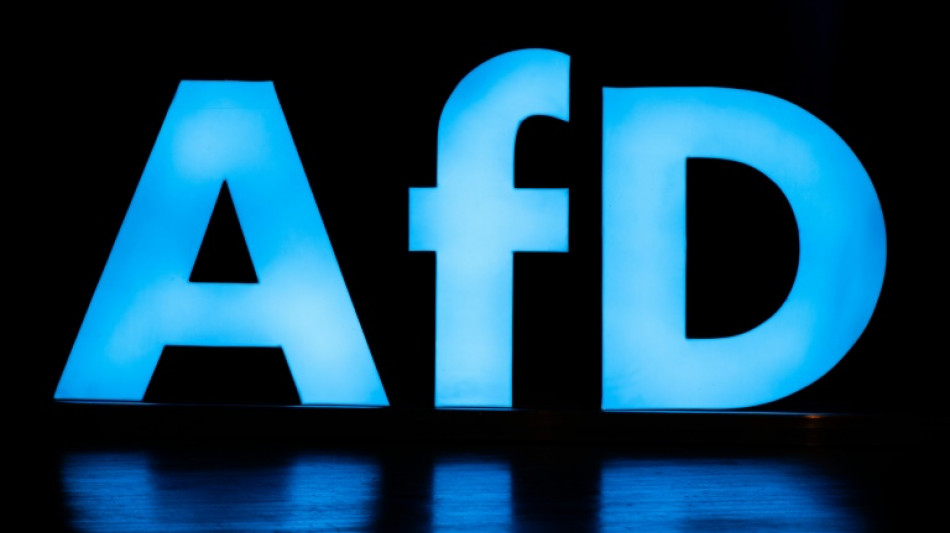 "Am Halsband des Kreml": Gegen die AfD werden Spionagevorwürfe laut