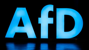 "Am Halsband des Kreml": Gegen die AfD werden Spionagevorwürfe laut