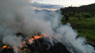 Who is setting fire to the Amazon?
