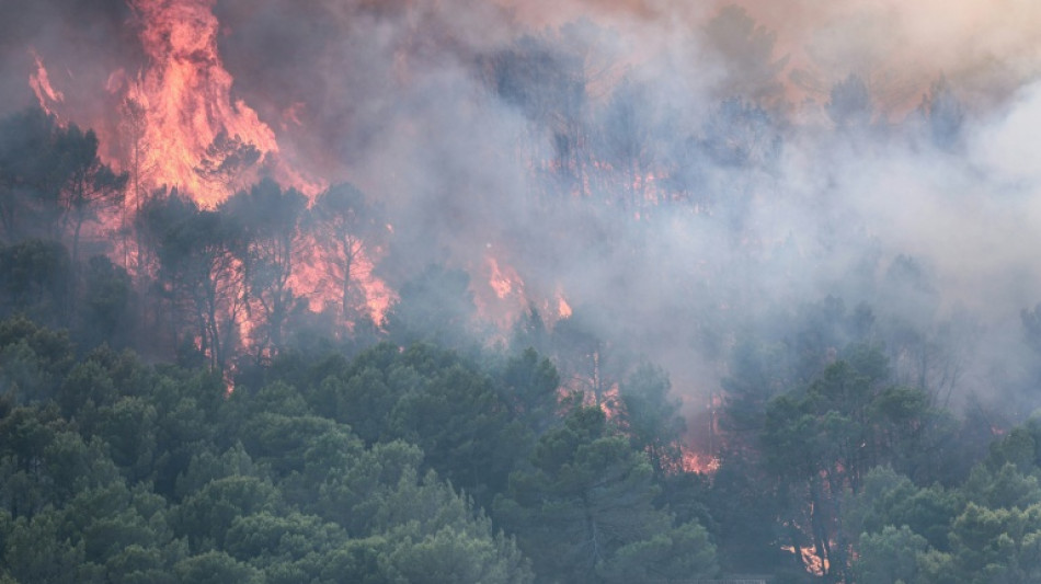 France's summer wildfires could cost insurers up to 563 mln euros