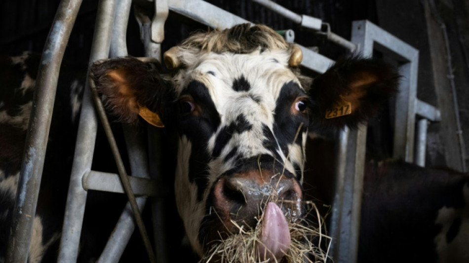 Agriculture: l'Assembl&eacute;e ach&egrave;ve l'examen d'un texte &agrave; l'impact environnemental critiqu&eacute;