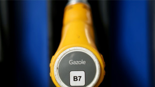 Prix du gazole: le gouvernement esp&egrave;re un effet imm&eacute;diat du d&eacute;stockage des r&eacute;serves strat&eacute;giques